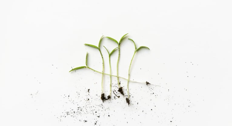 Five Ways AI Has Already Rewritten the Buyer's Journey
