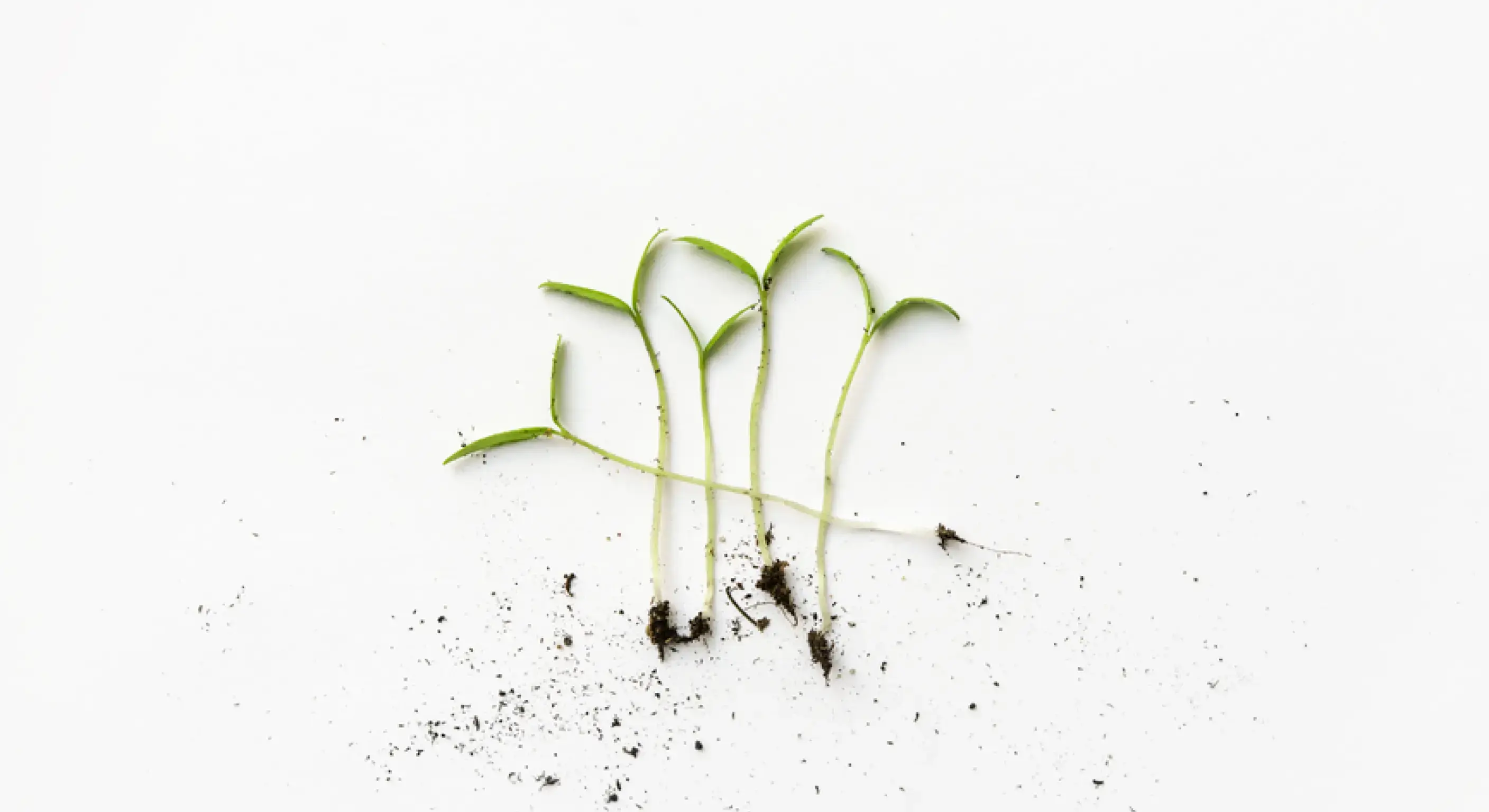 Five Ways AI Has Already Rewritten the Buyer's Journey